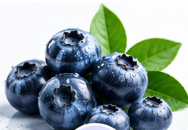 Blueberry Extract